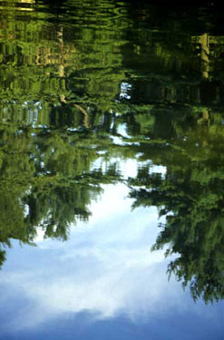 Reflection of trees in water at Longwood Gardens, Kennett Square, PA